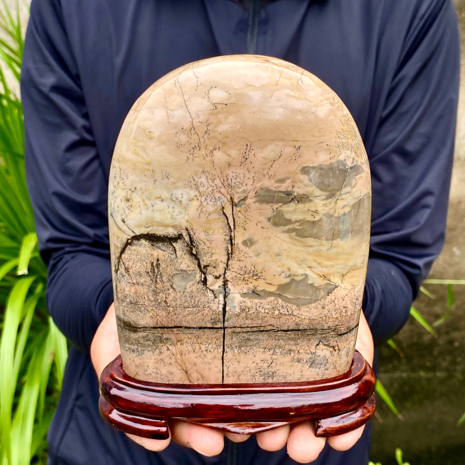 2.95LB Beautiful Natural Chinese Dendritic Limestone Picture Stone Guohua-Rare