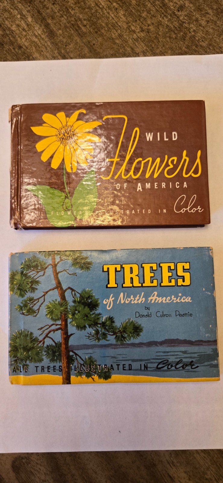 1930's Vintage Trees & Wildflowers Book 1930's Vintage Trees & Wildflowers Book
