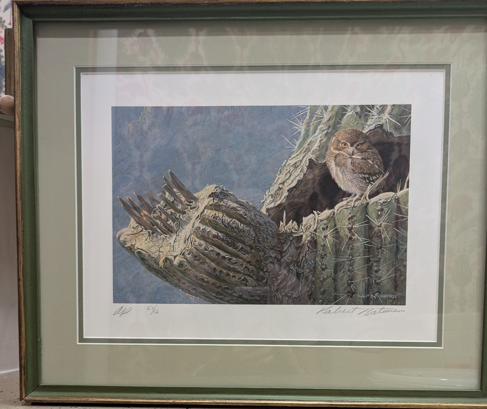Robert Bateman Young Elf Owl Old Saguaro Signed Art Print AP 52/56 Framed Robert Bateman Young Elf Owl Old Saguaro Signed Art Print AP 52/56 Framed