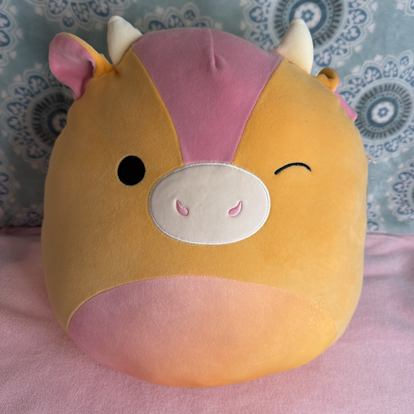 Squishmallow Jazwares 16\ Squishmallow Jazwares 16\