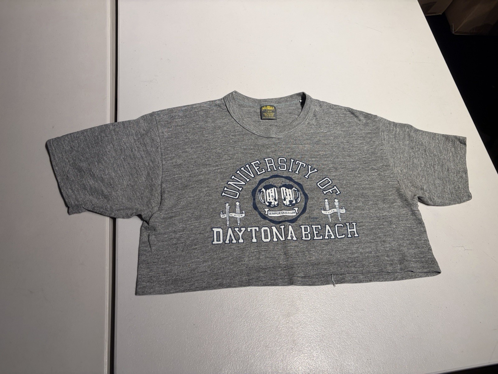 Vintage University Of Daytona Beach Shirt Men’s Large Gray Jerzees Russell 80’s