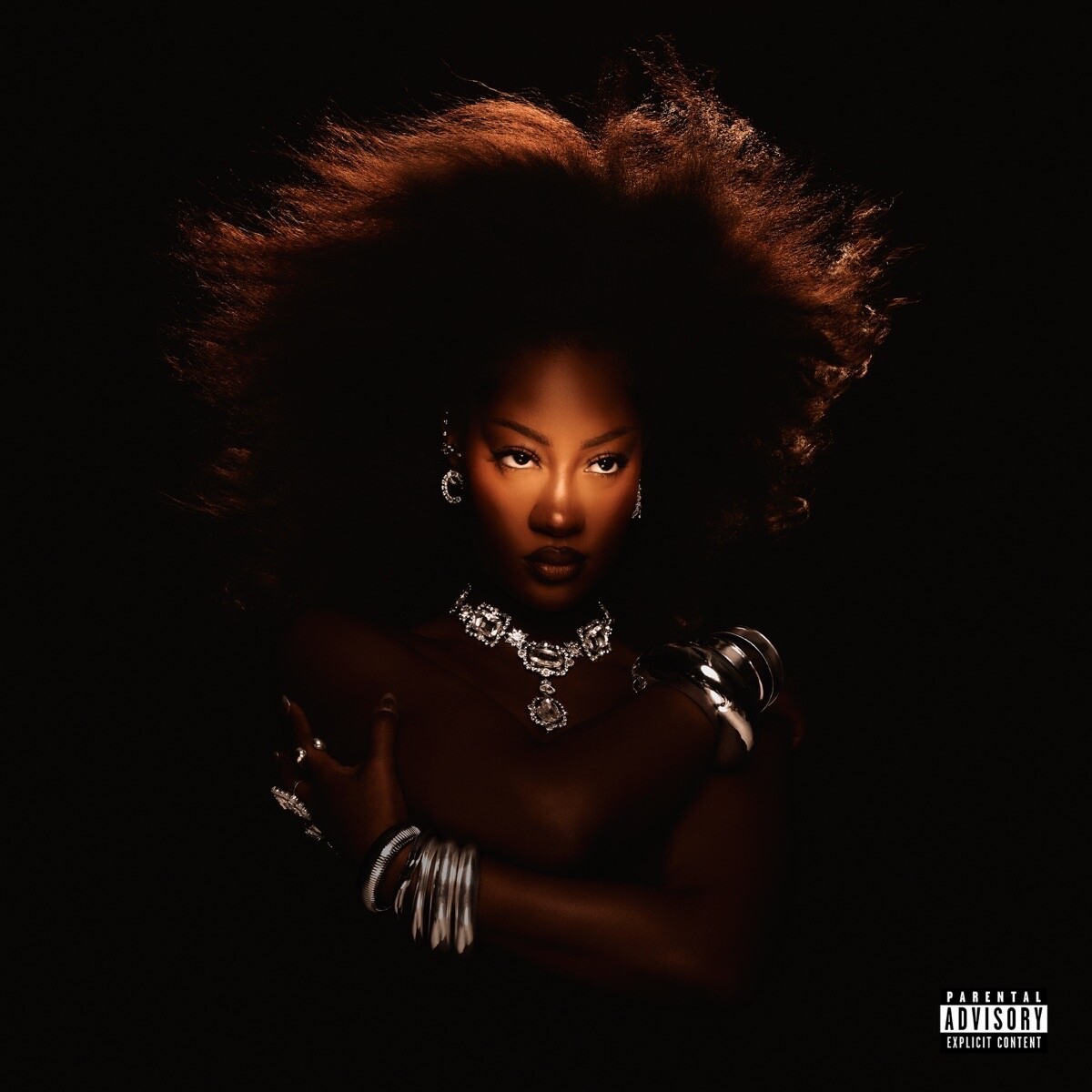 Tems - Born In The Wild (CD) Import 2024 Afrobeats / R&B Soul Tems - Born In The Wild (CD) Import 2024 Afrobeats / R&B Soul