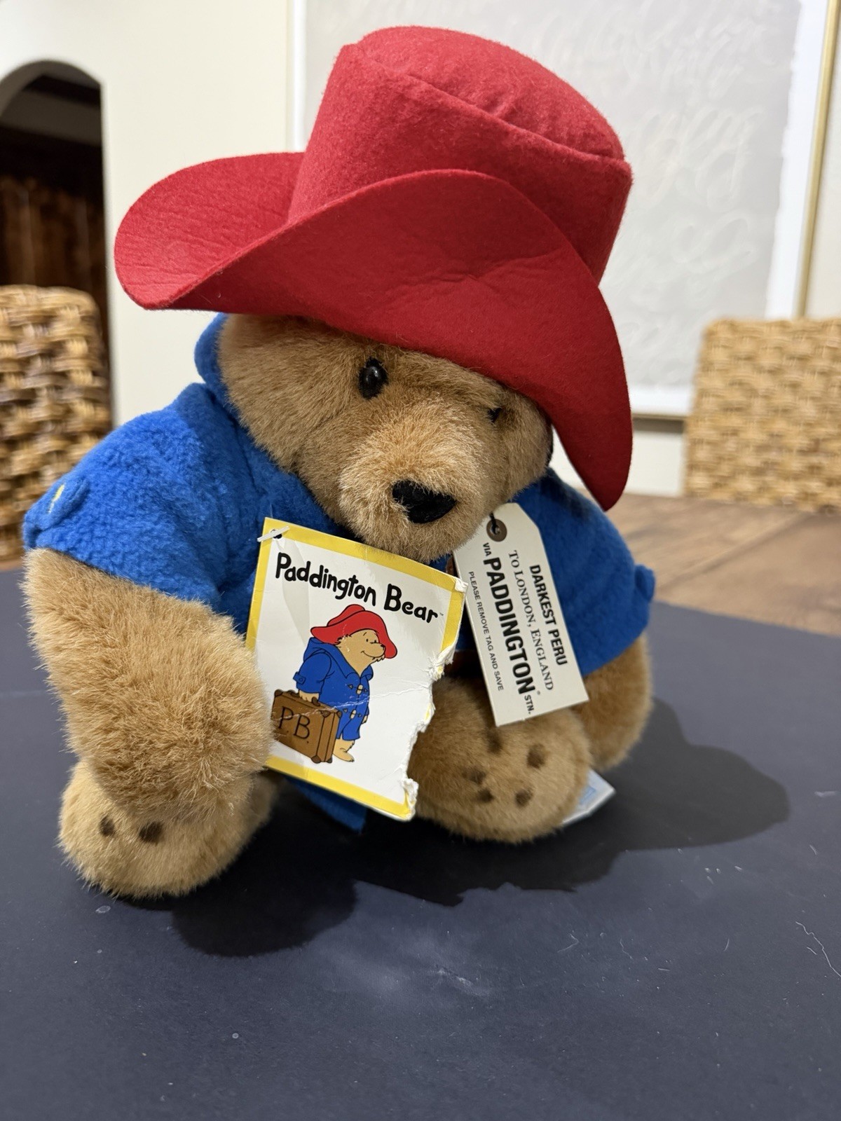 Vtg 1999 Paddington Bear Darkest Peru Eden Toys 10\