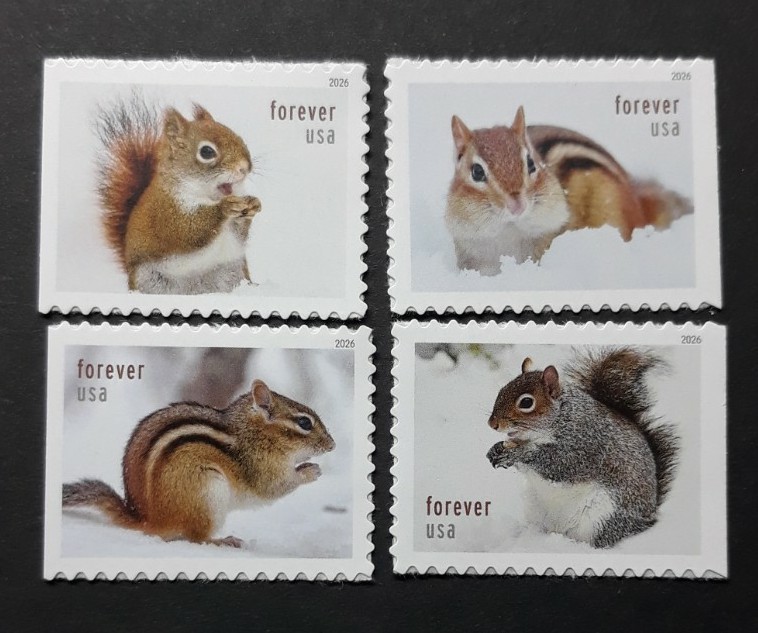 US Scott #6129-32, 2026 Forvr, Squirrels & Chipmunks in Snow Set/4 Bklt Singles US Scott #6129-32, 2026 Forvr, Squirrels & Chipmunks in Snow Set/4 Bklt Singles