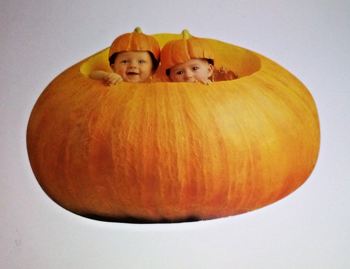 Vintage Anne Geddes Babies Inside of Pumpkin Postcard 1996 Vintage Anne Geddes Babies Inside of Pumpkin Postcard 1996