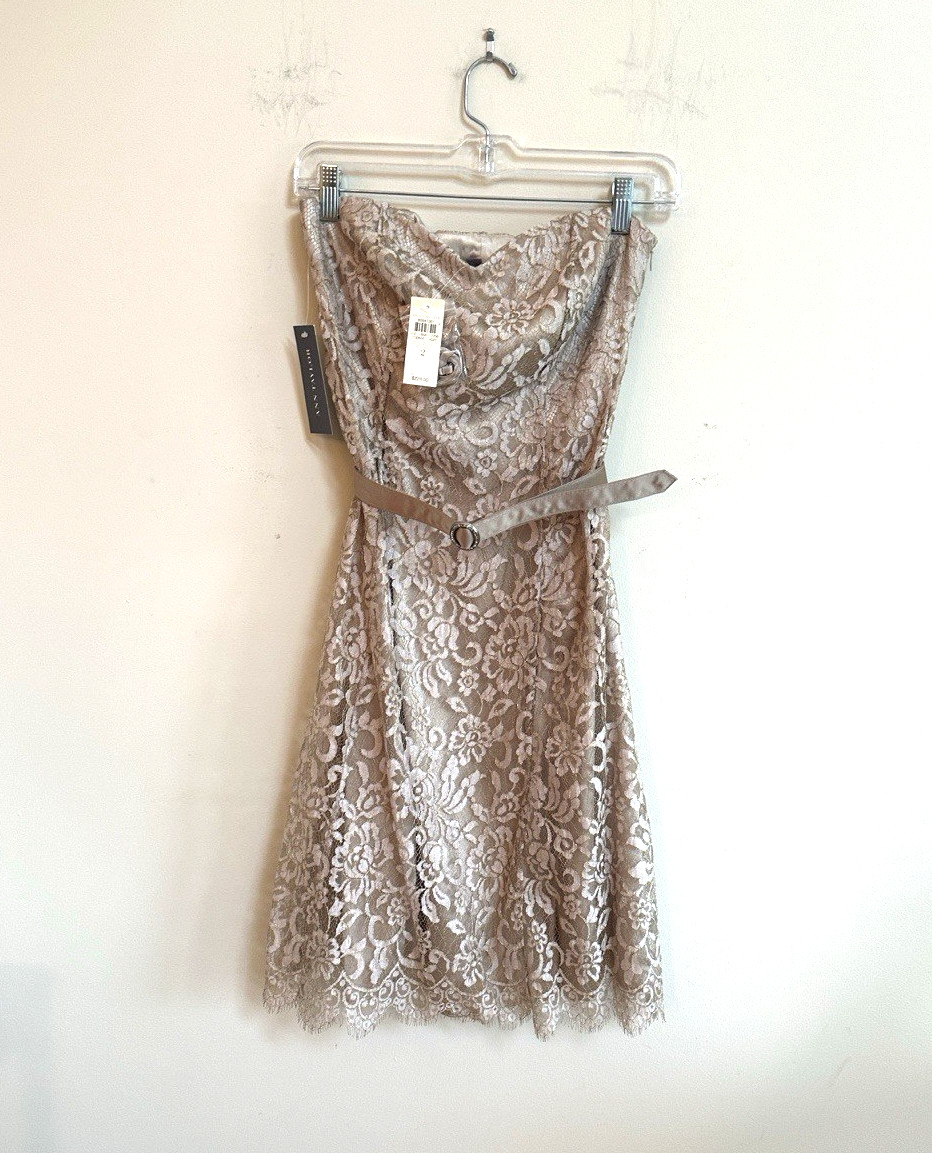 NEW NWT Ann Taylor Lace Overlay Dress Beige/Gold Strapless Size2