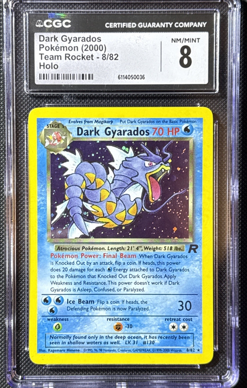 Pokemon Dark Gyarados 8/82 - Team Rocket - Holo- Graded CGC 8 NM/MINT Pokemon Dark Gyarados 8/82 - Team Rocket - Holo- Graded CGC 8 NM/MINT