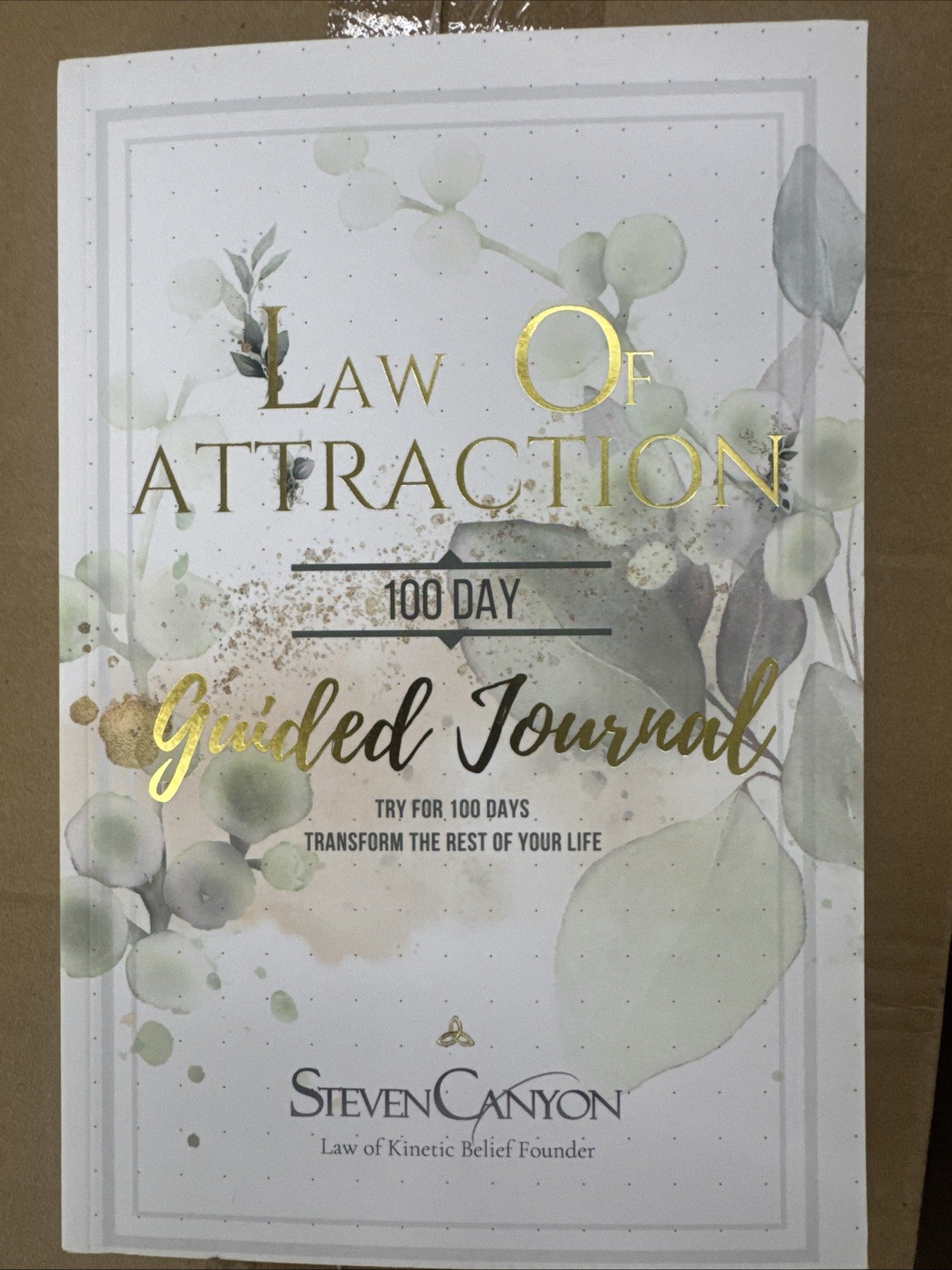 Law of Attraction 100-Day Guided Journal Law of Attraction 100-Day Guided Journal
