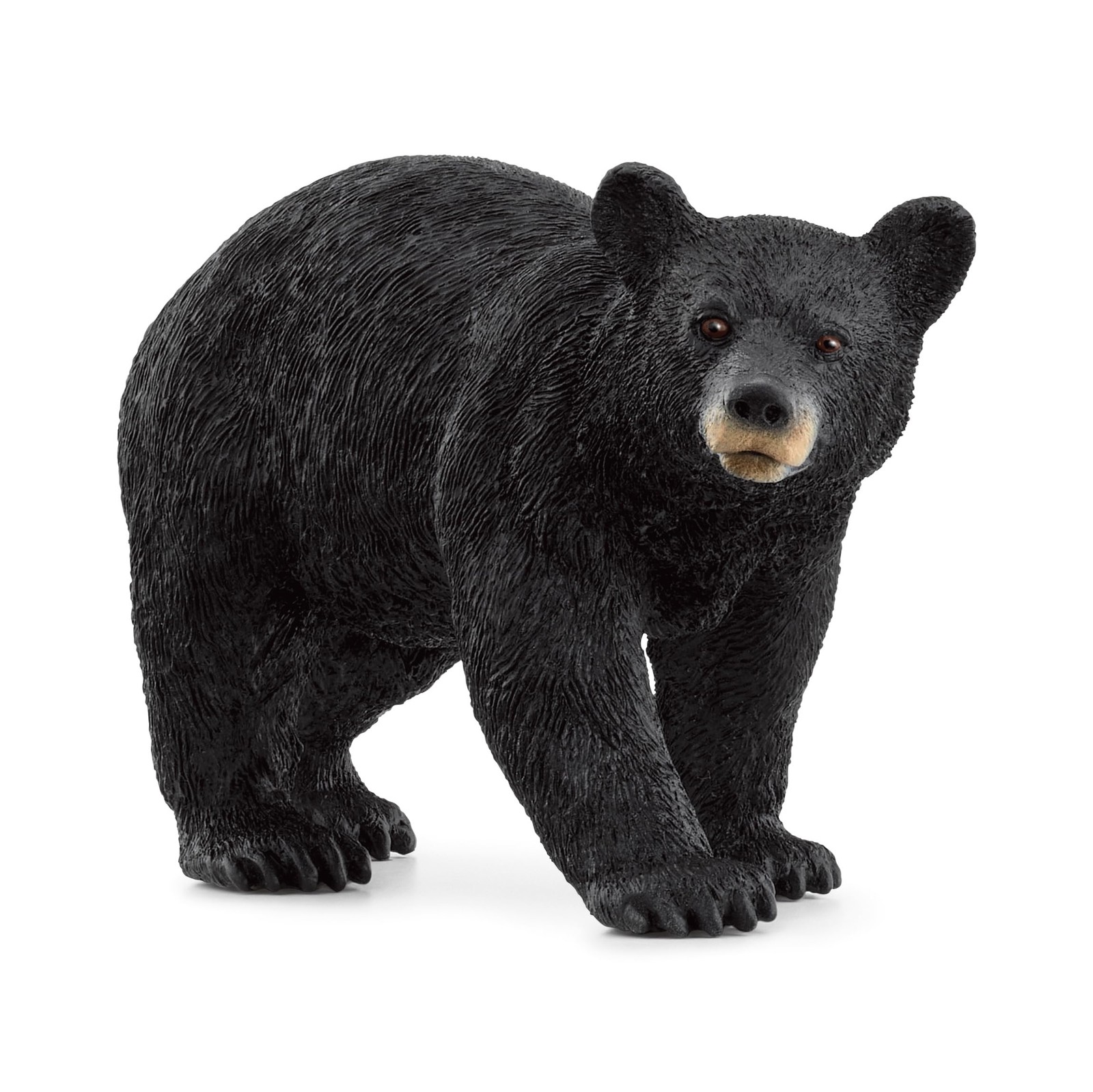 Schleich American Black Bear Toy Figure Wild Life Educational Play for Kids 3+