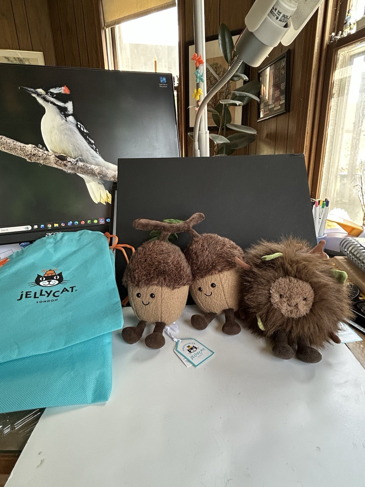 Jellycat Ort And Tum Acorns Mulshi Wood floor Fall Forest With Bags New Jellycat Ort And Tum Acorns Mulshi Wood floor Fall Forest With Bags New