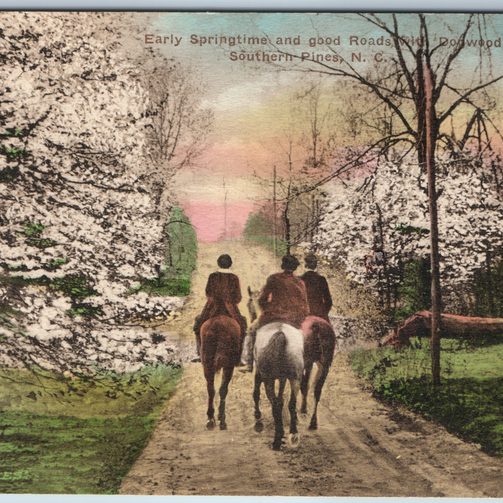 c1910s Southern Pines NC Horseback Riders Dogwood Postcard Sandhills Albertype