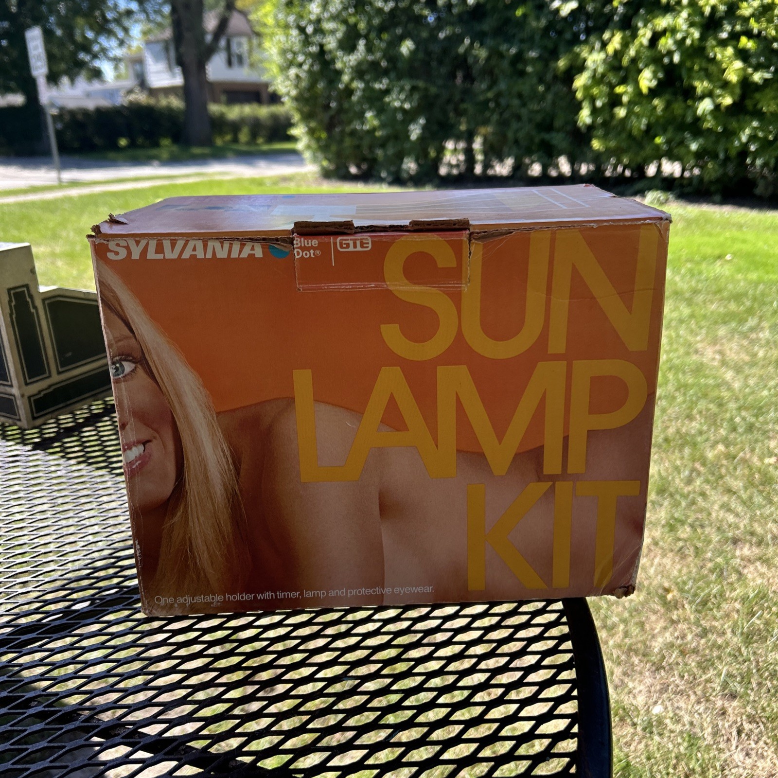Vintage 1984Sylvania Sun Lamp Kit With Original Glasses In Box Great Condition