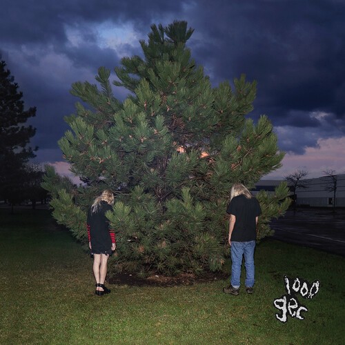 100 gecs - 1000 Gecs [New CD] Explicit, Alliance MOD