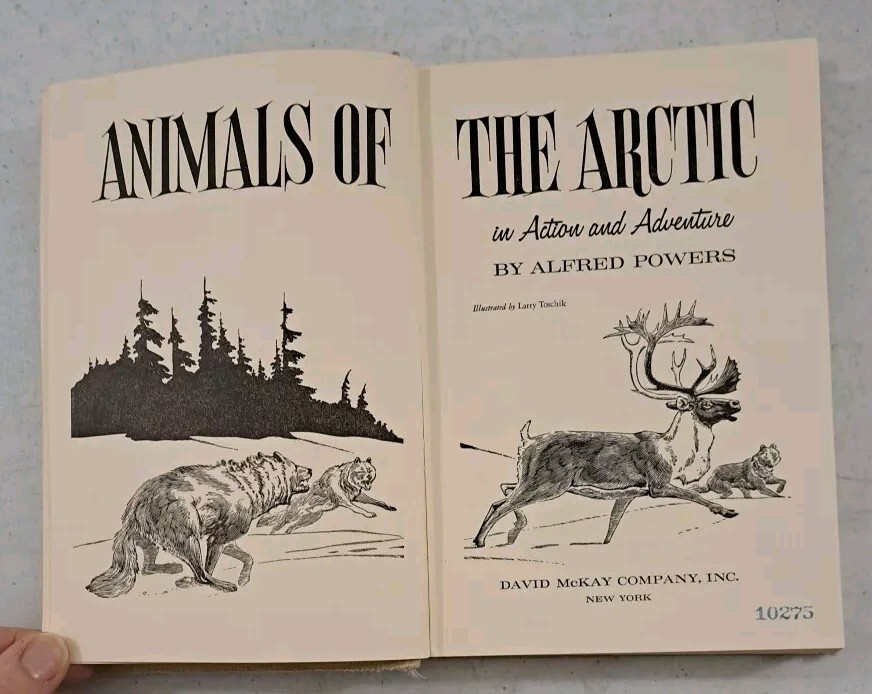 Vintage 1965 Hardcover-Alfred Powers' Animals Of The Arctic-POLAR BEAR