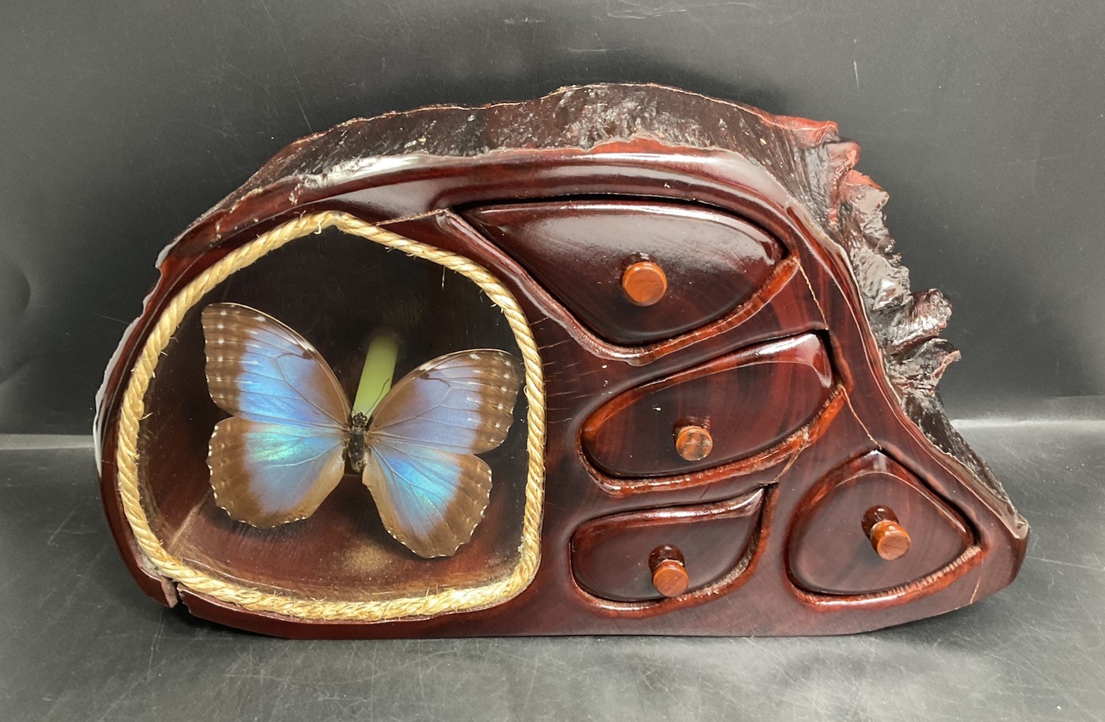 Vintage Preserved Blue Morpho Butterfly Redwood Stump Jewelry Trinket Box Vintage Preserved Blue Morpho Butterfly Redwood Stump Jewelry Trinket Box