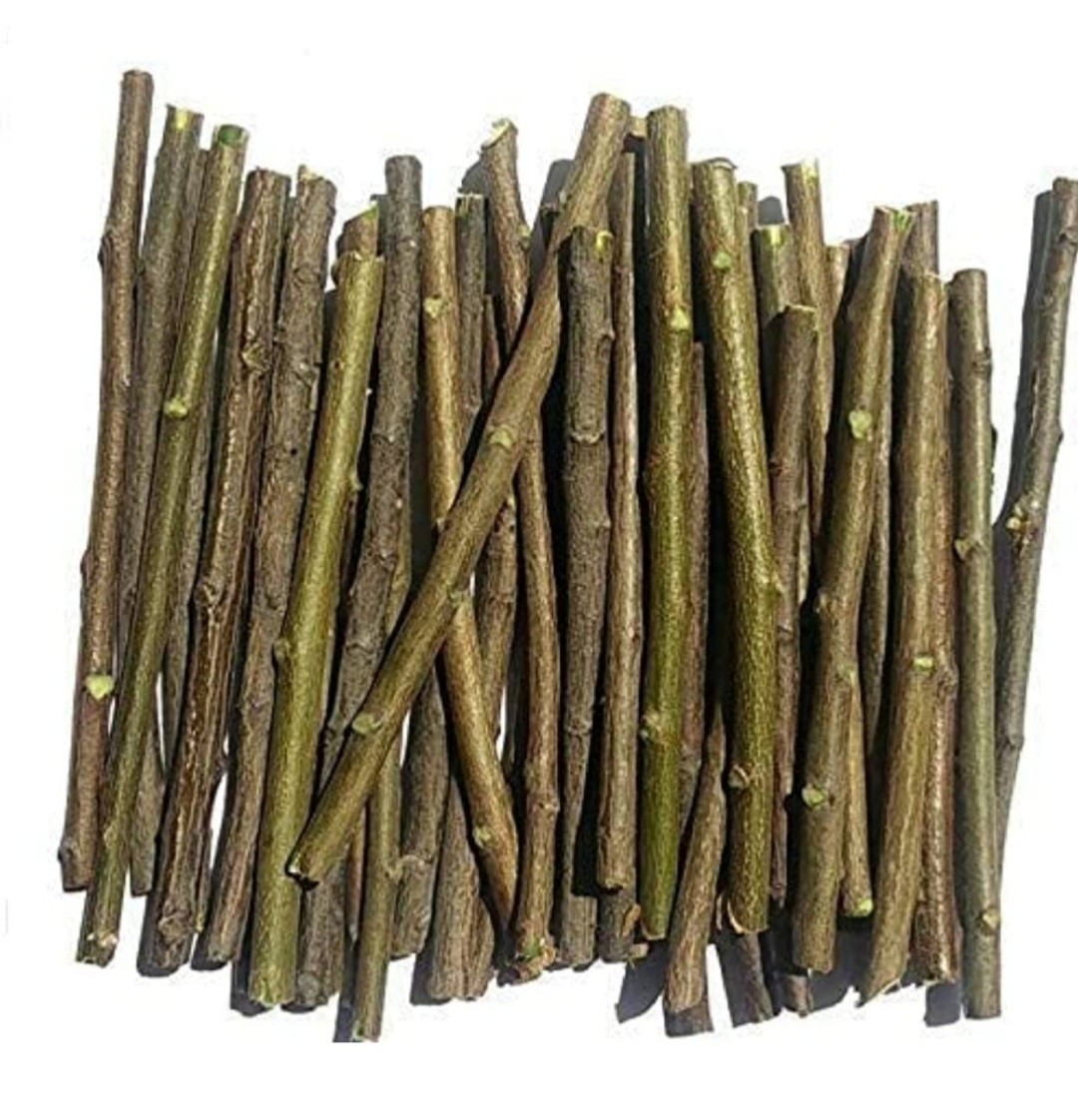 10 pc- 100 pc Neem Sticks Azadirachta Indica Sticks DATUN for Teeth and Gums, Or