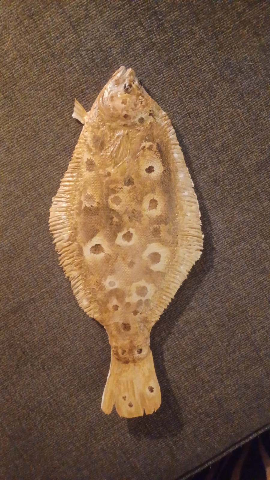 fluke fish replica 18 inch summer flounder Nantucket shoals fluke fish replica 18 inch summer flounder Nantucket shoals