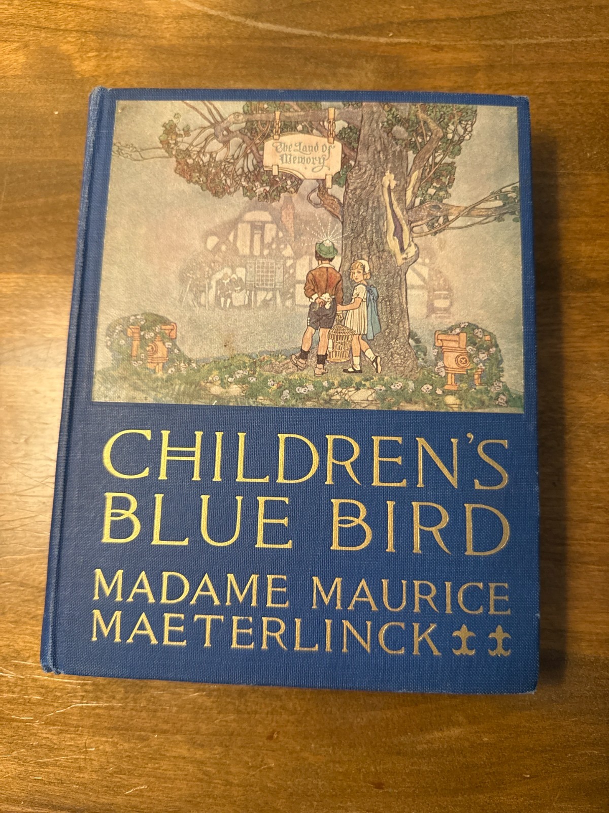 The Children\'s Blue Bird Georgette Leblanc 1920 Dodd Mead Herbert Paus HC