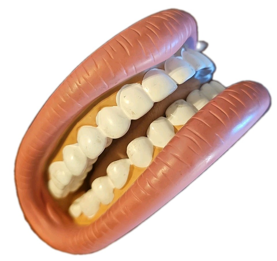 Super Duper MOUTH-32 Giant Mouth Tongue Speech Therapy Articulation Model 2005