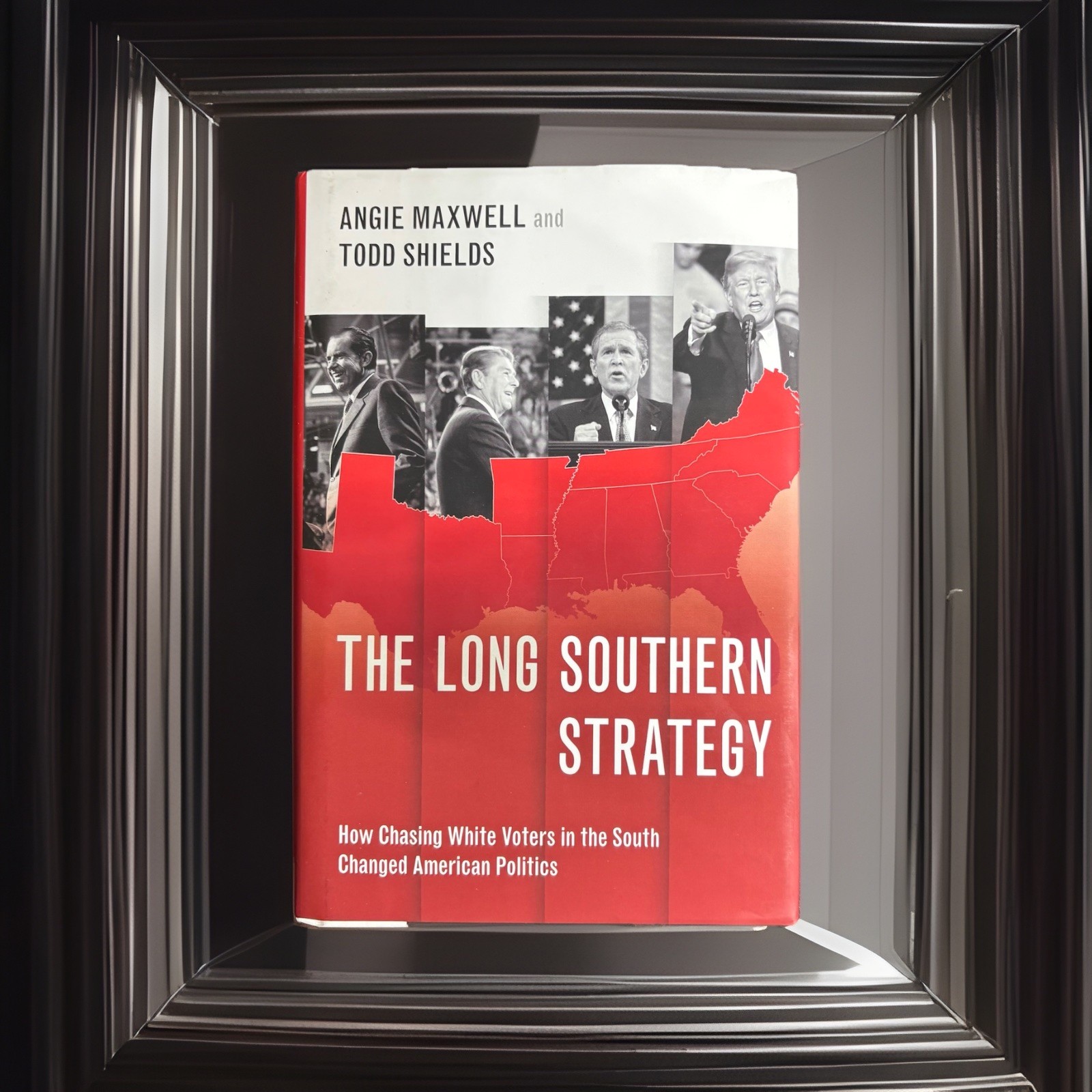 Long Southern Strategy : How Chasing White Voters in the South Changed Politics