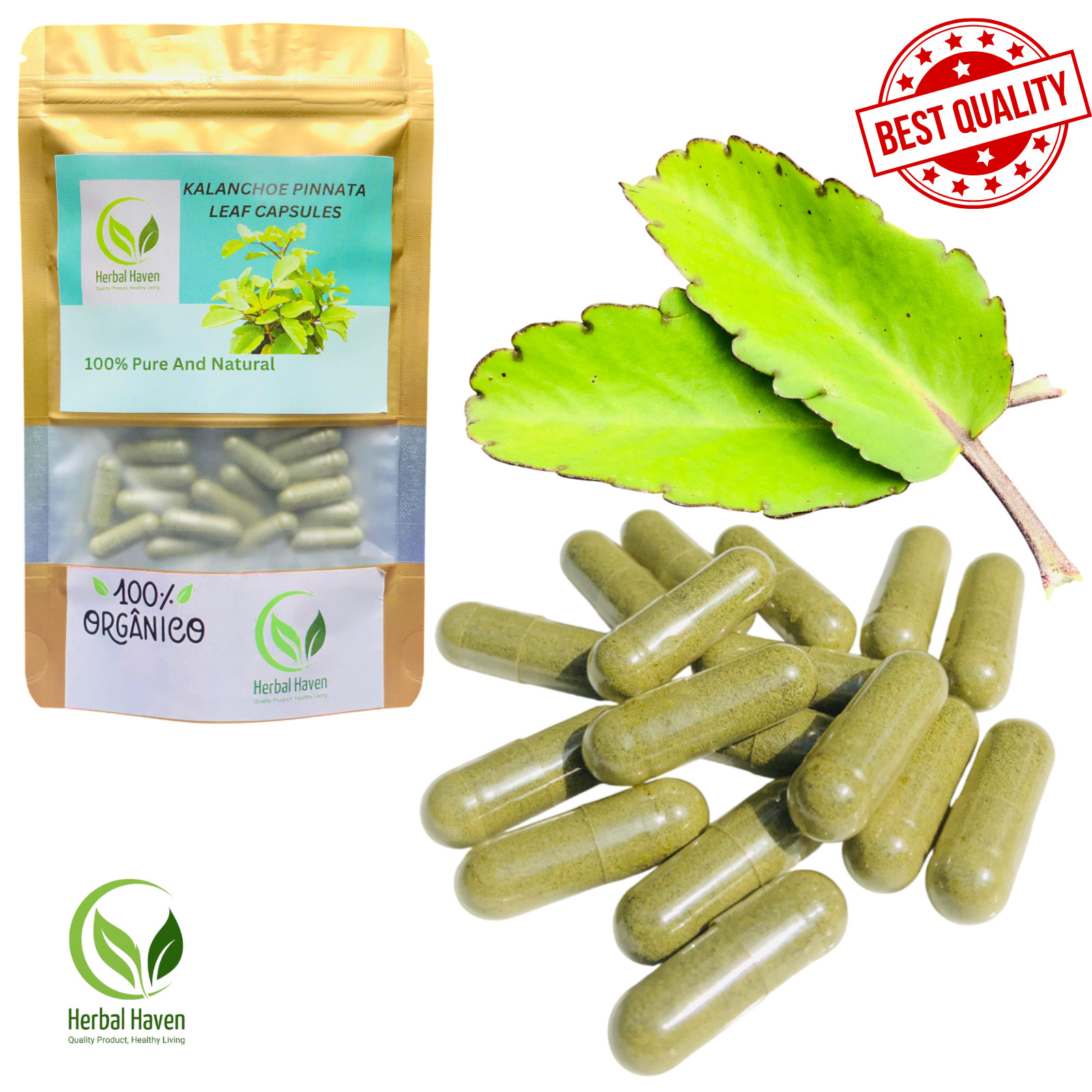 Organic Kalanchoe Pinnata Leaves Capsules (600mg) Bryophyllum pinnatum Natural