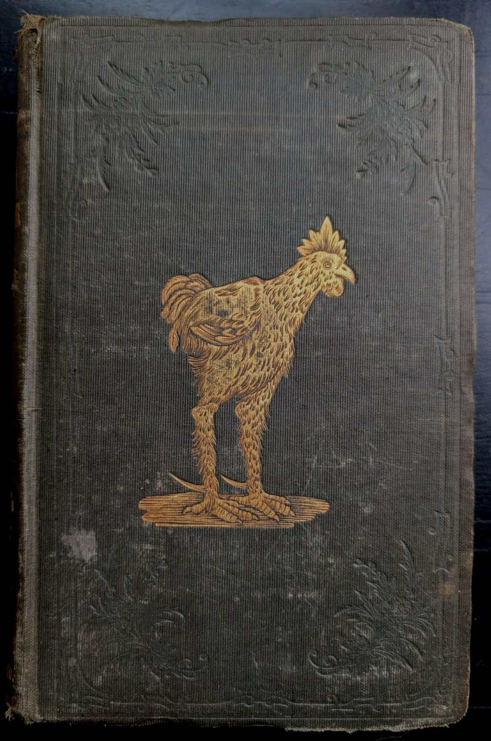 The History of the Hen Fever. A Humorous Record 1855 Geo P Burnham