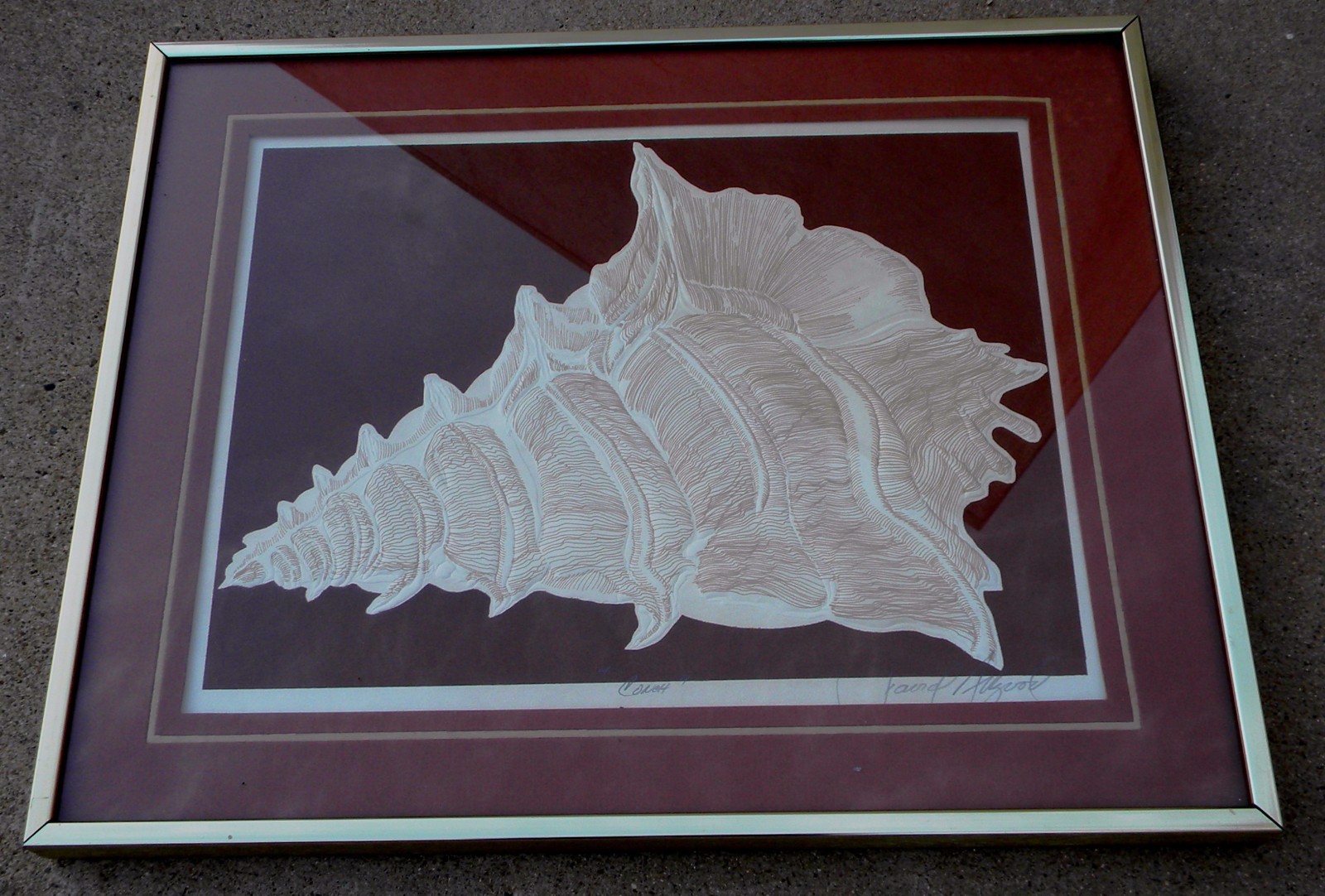 Vintage David Allgood Embossed Serigraph Conch Art Signed COA Framed 1982 Vintage David Allgood Embossed Serigraph Conch Art Signed COA Framed 1982