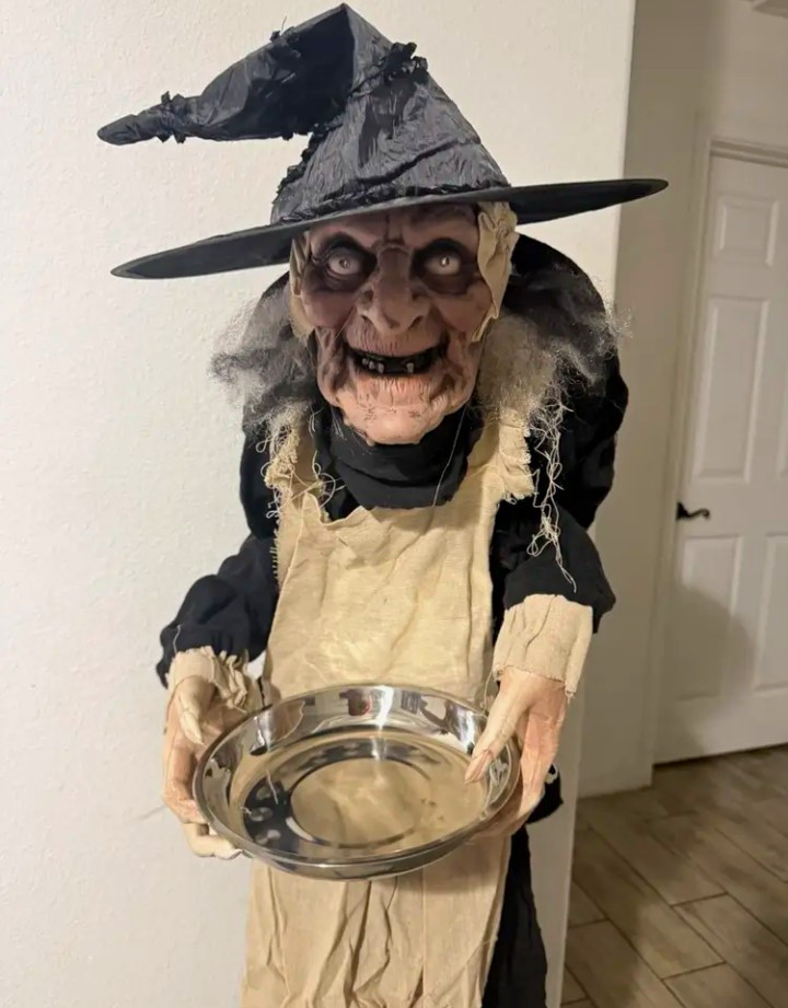 5 ft Animatronic Halloween Witch Prop LED Glowing Eyes, Sound & Motion 5 ft Animatronic Halloween Witch Prop LED Glowing Eyes, Sound & Motion