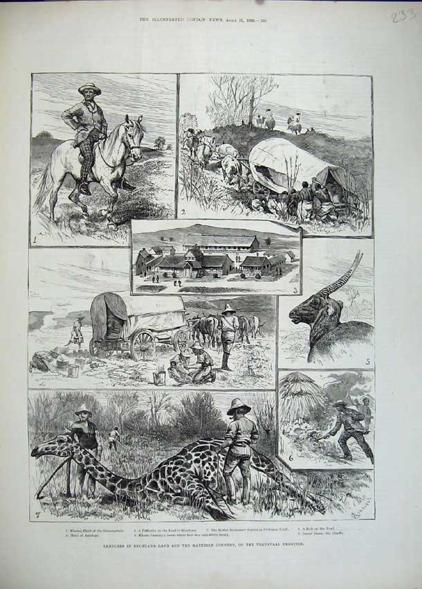 Old Antique Print 1883 Bechuana Matebele Transvaal Antelope Giraffe Horse 19th