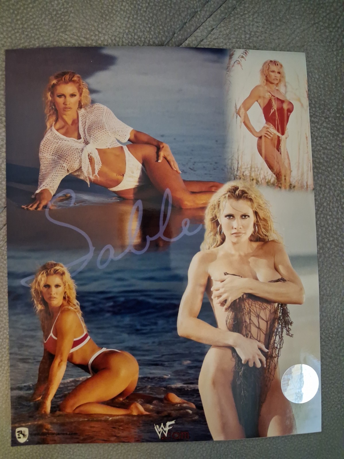 Vintage Sable WWF Wrestling Diva 90s 8\ Vintage Sable WWF Wrestling Diva 90s 8\