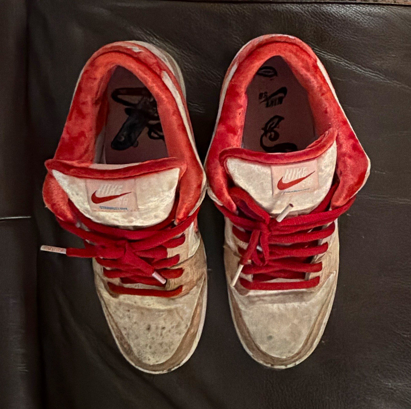 Nike Dunk SB Strangelove