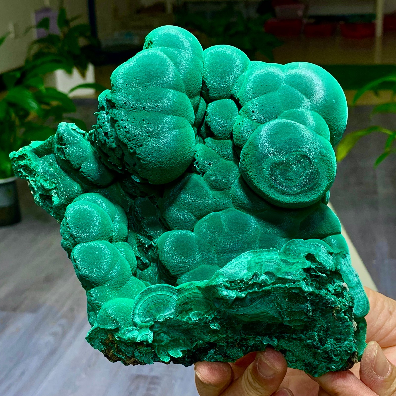 3.3LB Natural VELVET Malachite cat\'s eye specimen crystal mineral-Congo