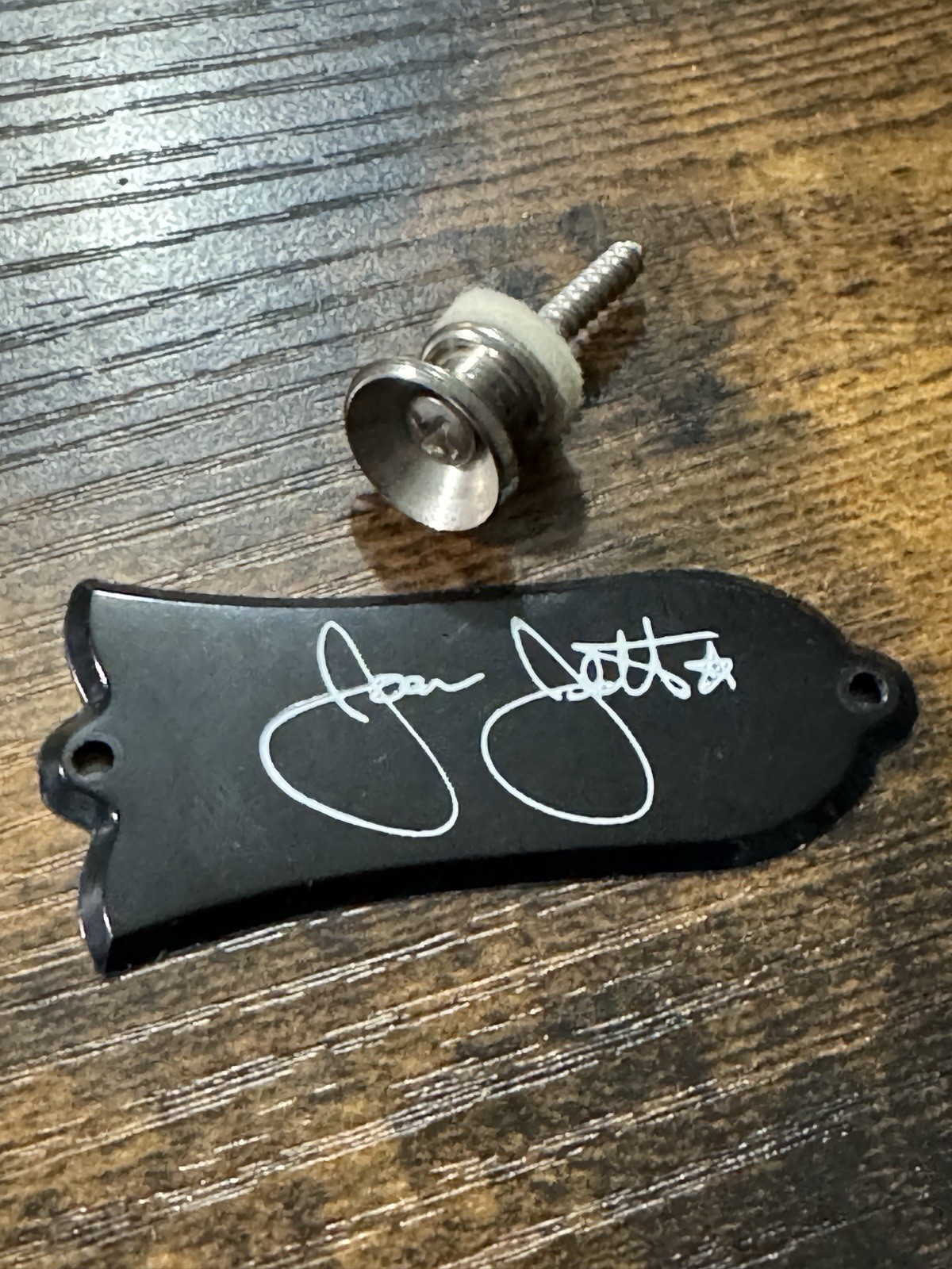Gibson USA 2007/08 Joan Jett Melody Maker Guitar Truss Rod Cover & Endpin