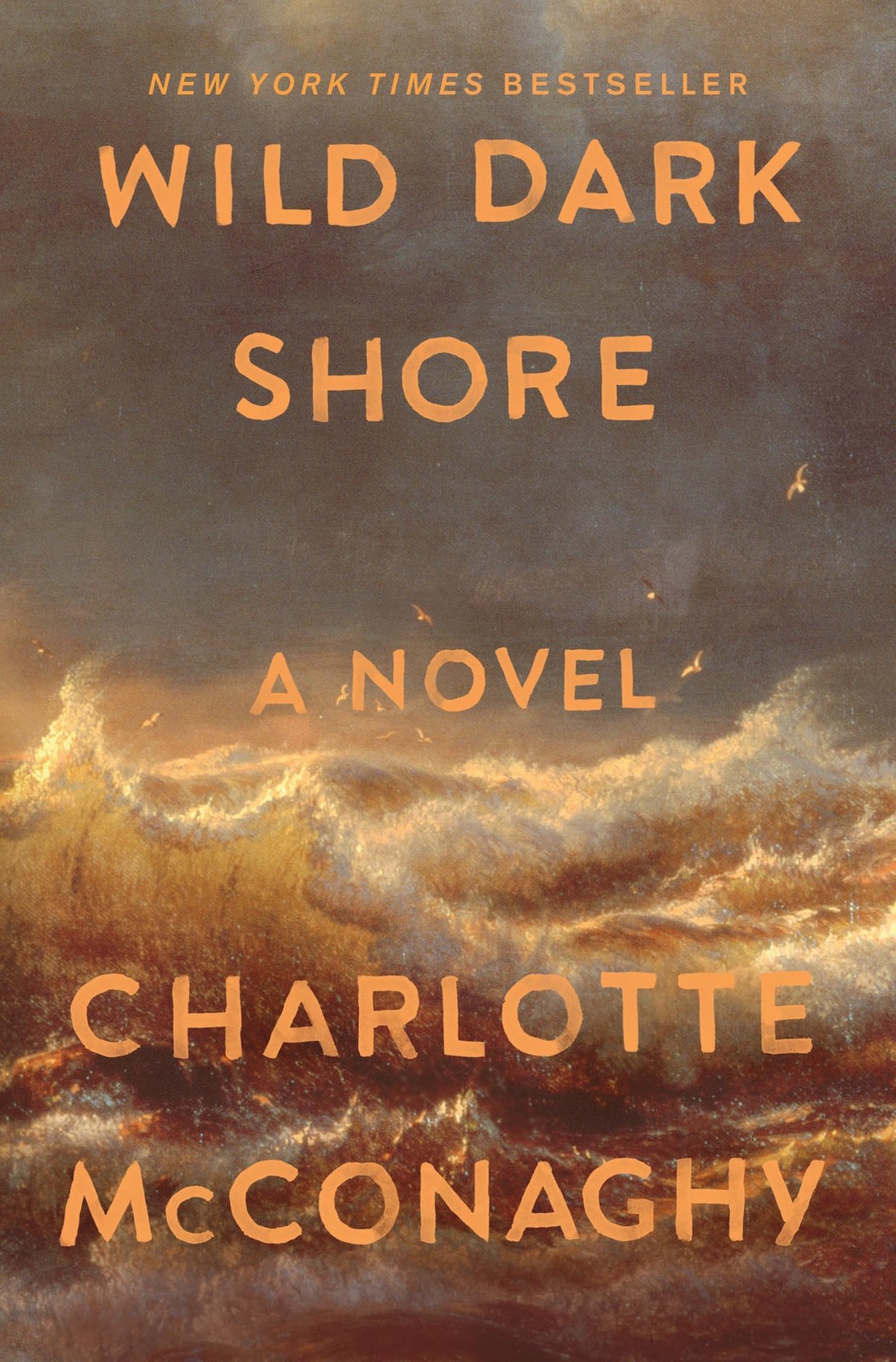 Wild Dark Shore: Reese\'s Book Club Pick (A Novel)