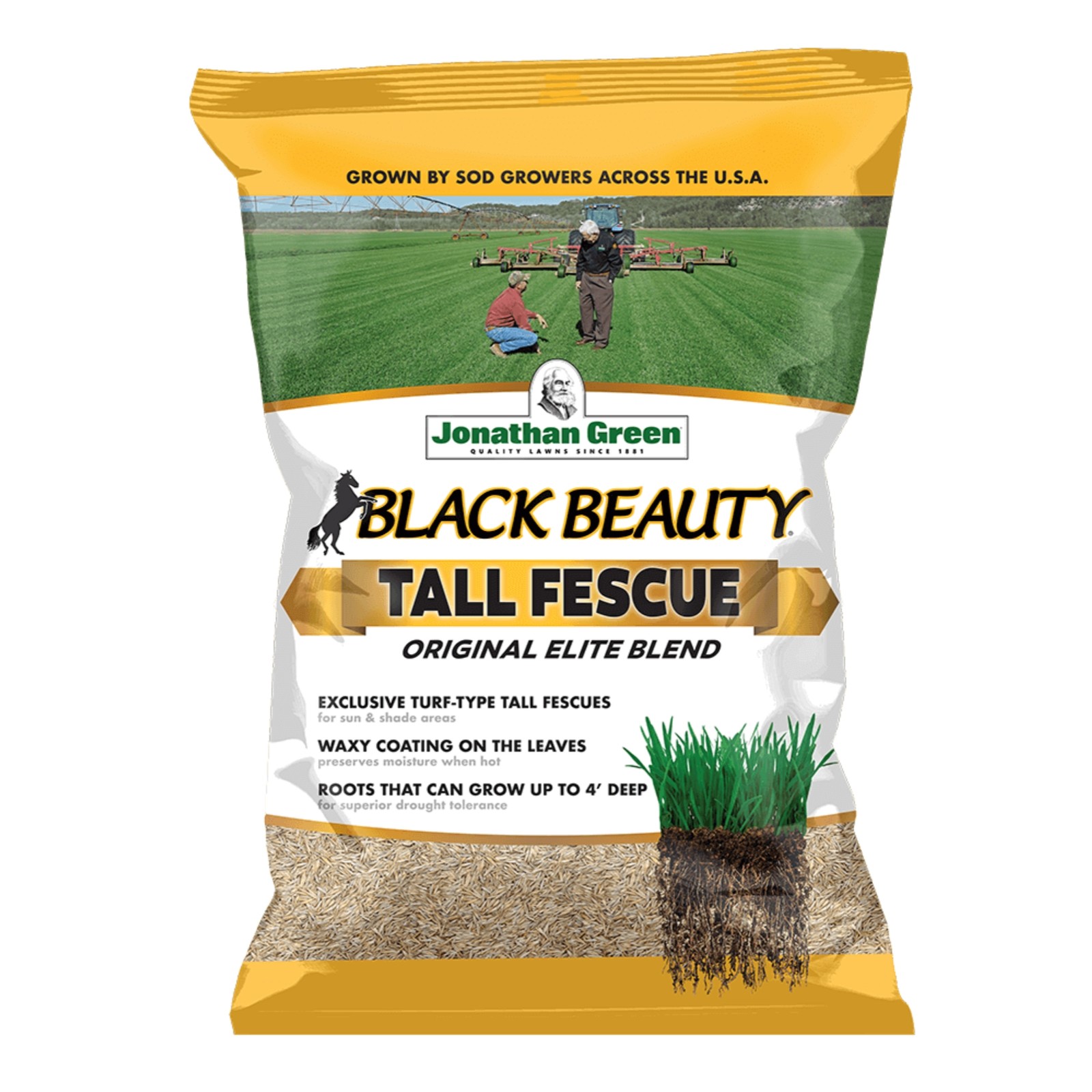 Jonathan Green Black Beauty Original Tall Fescue Grass Seed Blend, 50lb