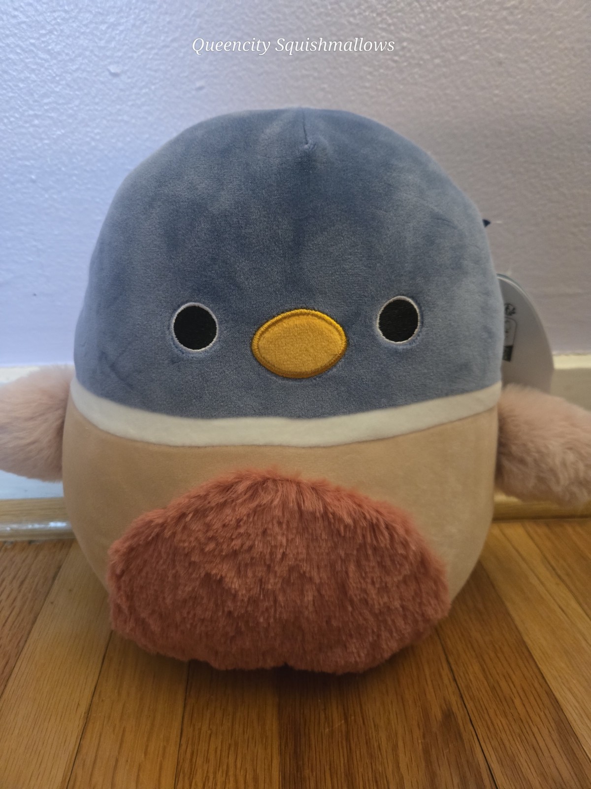 Original Squishmallows 8\