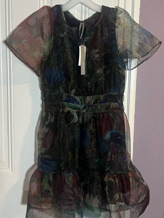 Anthropologie Sheer Black Floral-Print Mini Dress