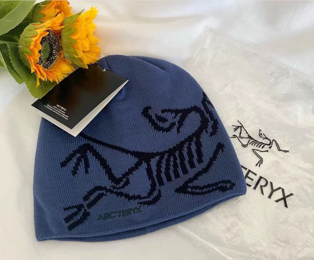Unisex Arc\'teryx Bird Head Beanie Lavender – Wool Blend Ski Snowboard Hat NWT