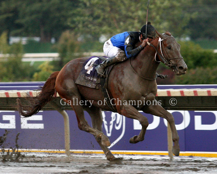 Curlin 2007 Breeders\' Cup #1 Finish Photo