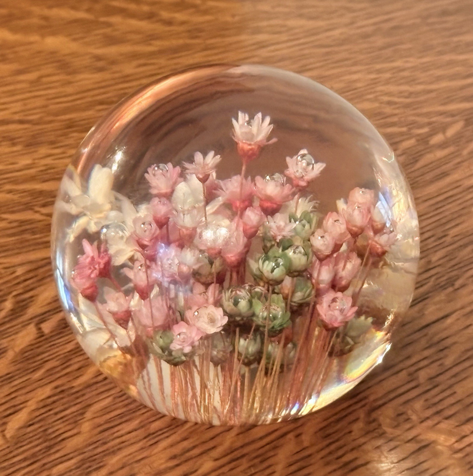 Vintage Wildflowers Paperweight Daisyglas Co Handmade Decorative Acrylic 4 Vintage Wildflowers Paperweight Daisyglas Co Handmade Decorative Acrylic 4