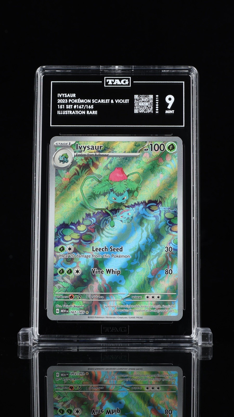 TAG 9 MINT ENGLISH POKEMON 2023 IVYSAUR 167/165 POKEMON 151 IR HIGH RANK💎