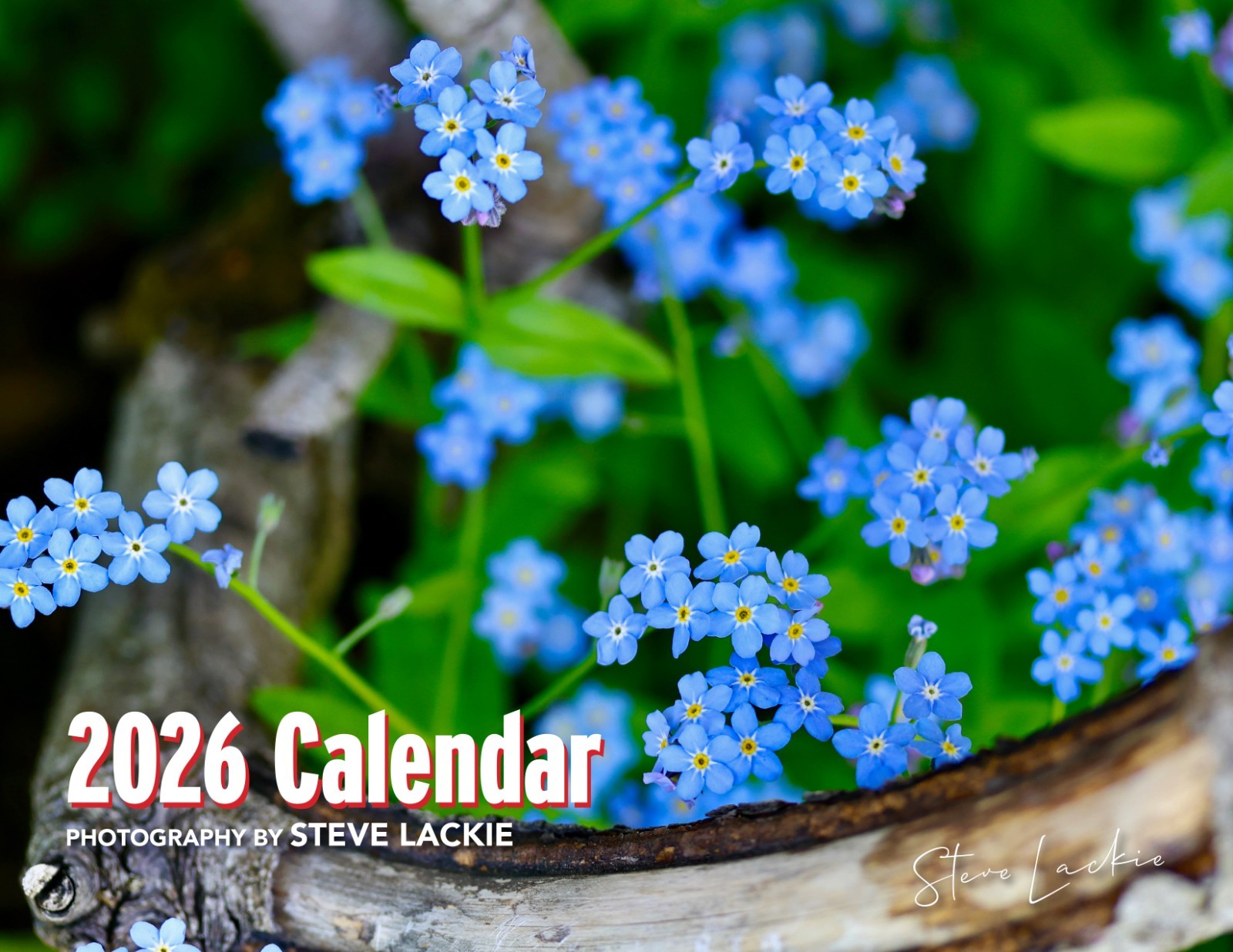 ALASKA | 2026 11\