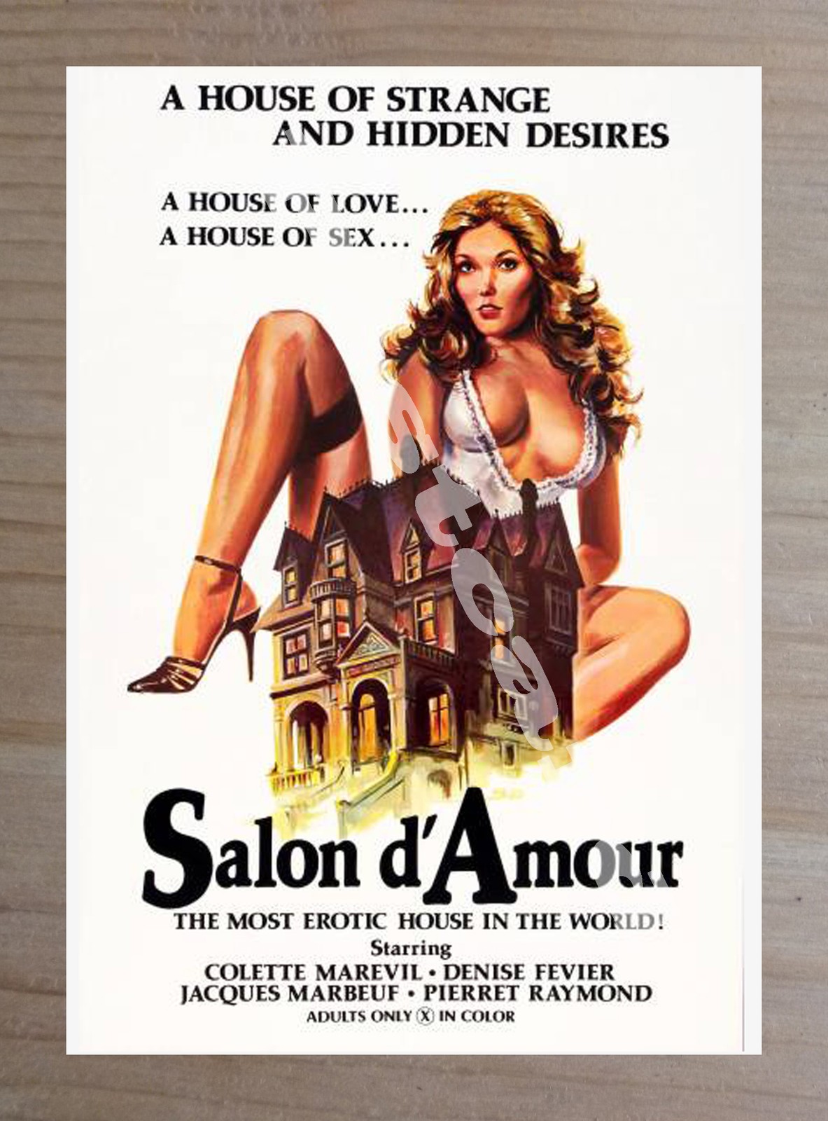 Historic Salon D\'amour 1976 Movie Advertising Postcard Historic Salon D\'amour 1976 Movie Advertising Postcard