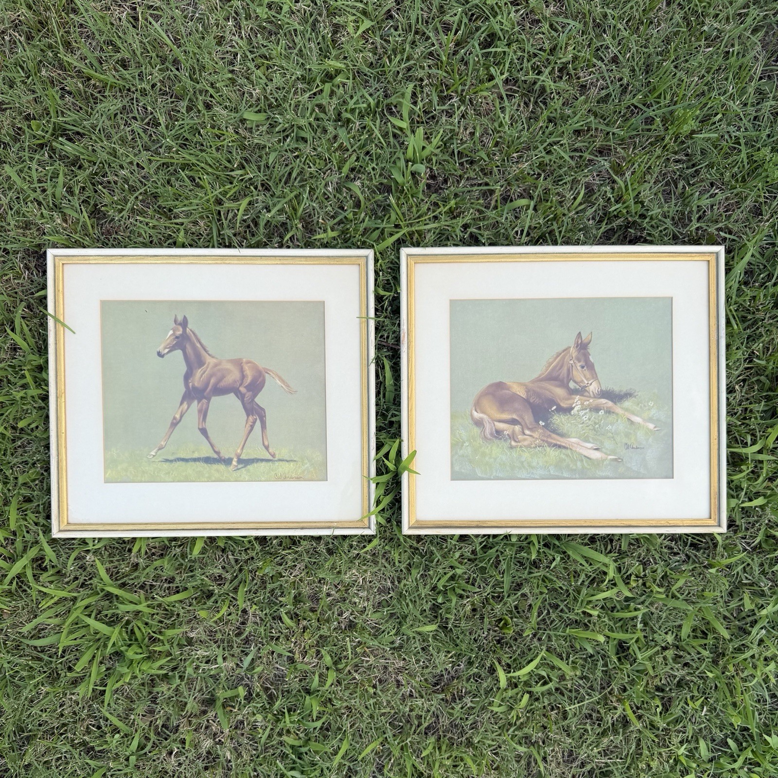 Pair Vintage CW Anderson Framed Horse Prints \