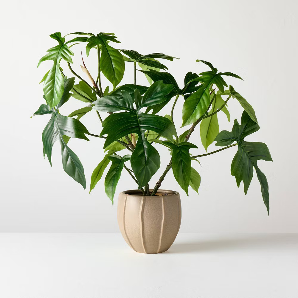 Large Philodendron Pedatum Artificial Plant - Hearth & Hand with Magnolia