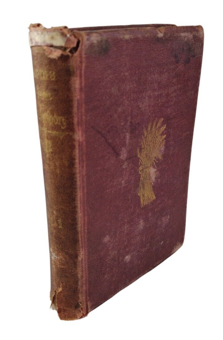 1868 Antique Book Memoir Gems from the Writings of Emanuel Swedenborg 2nd Ed 1868 Antique Book Memoir Gems from the Writings of Emanuel Swedenborg 2nd Ed