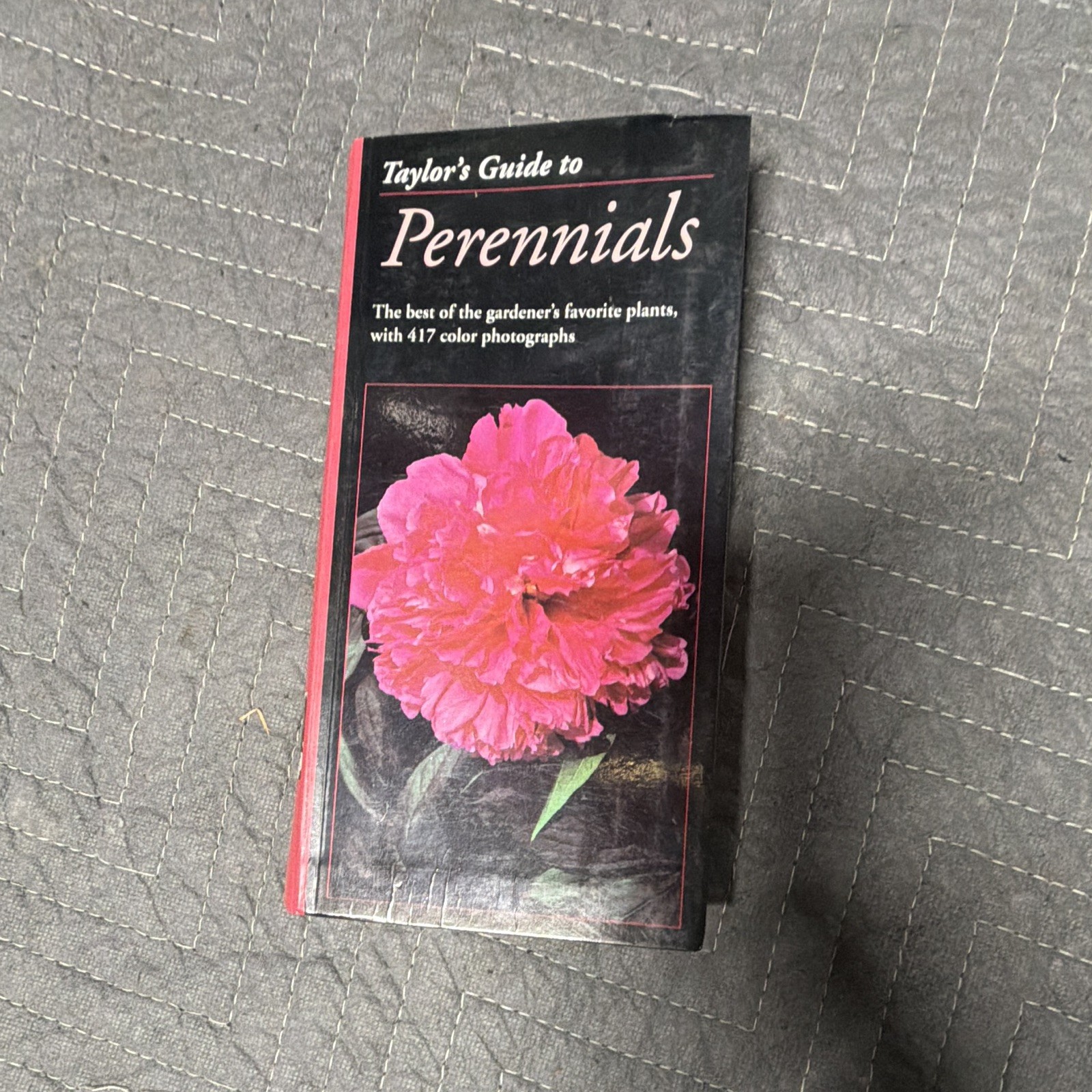 Perennials Perennials