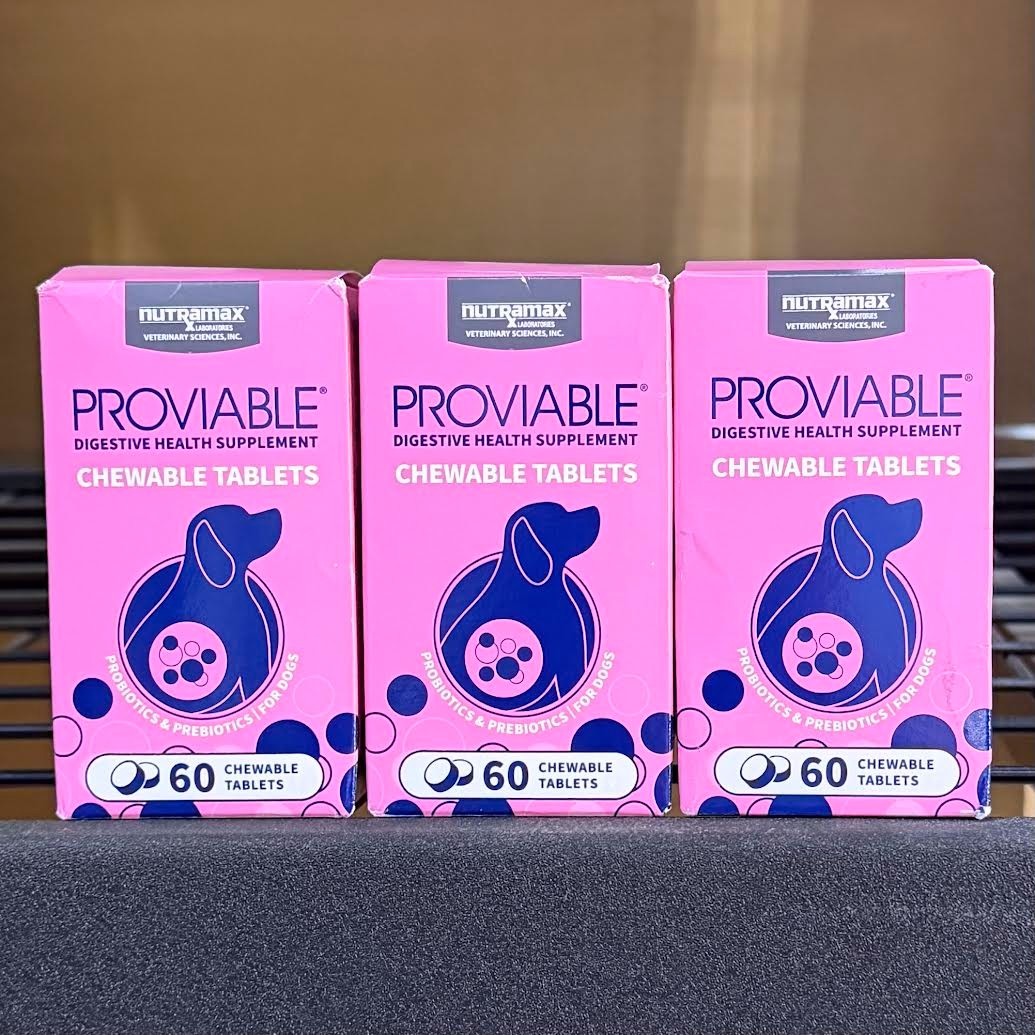 3 x Nutramax Proviable Digestive Health 60 Chewable Tablets for Dogs (180 Total)