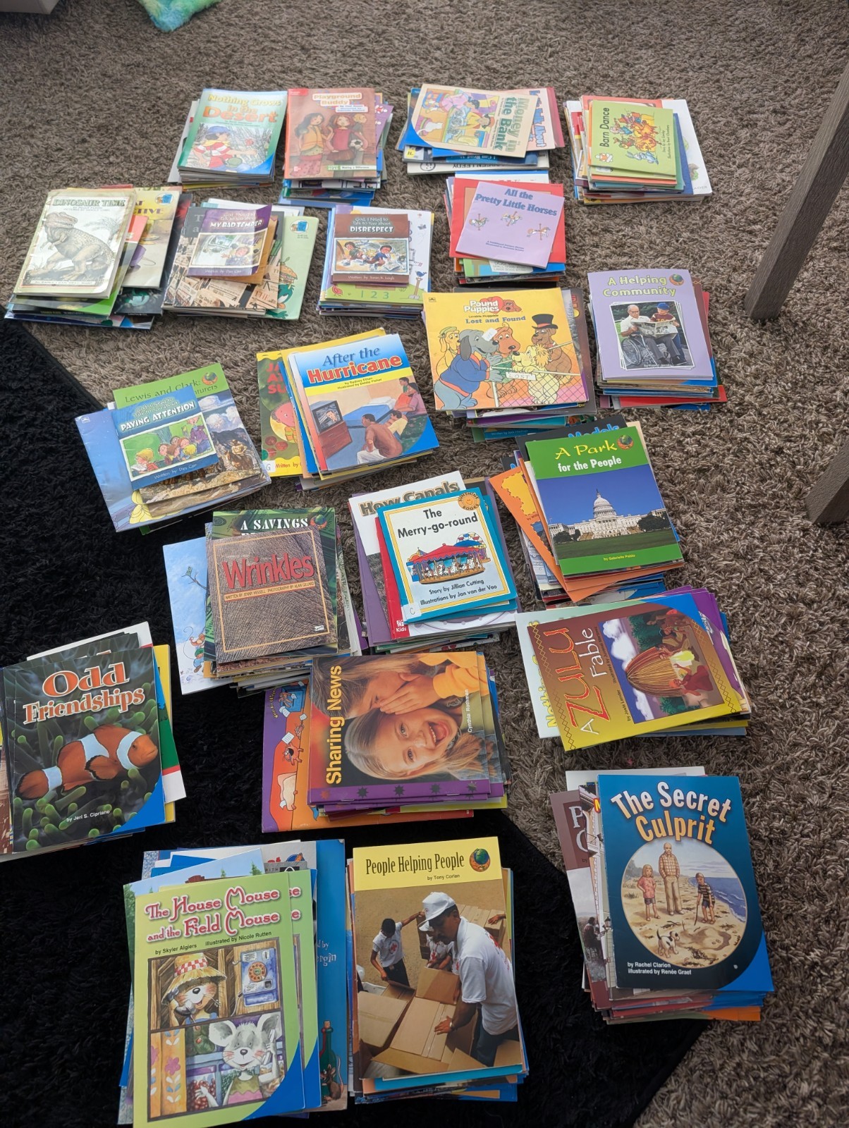 Bulk/Huge Lot of 417 Children's Kids Books - Random Home School Great Find Bulk/Huge Lot of 417 Children's Kids Books - Random Home School Great Find