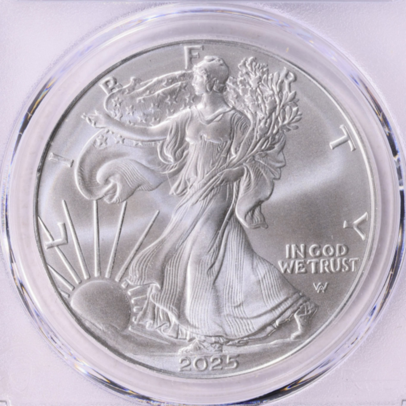 2025 1 oz American Silver Eagle Coin